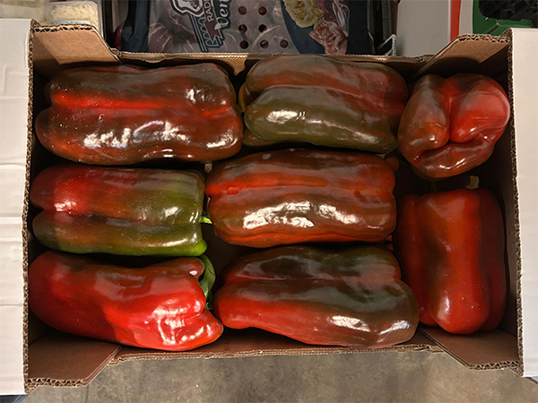 Peperone rosso Origine Italia, prezzo 3-3,50 euro al chilo